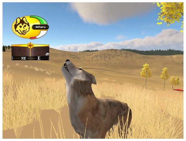 les commandes et le début 